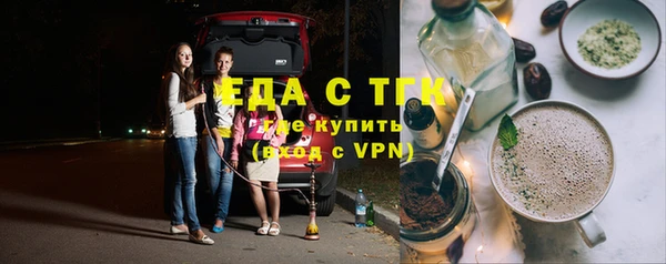 индика Алексин