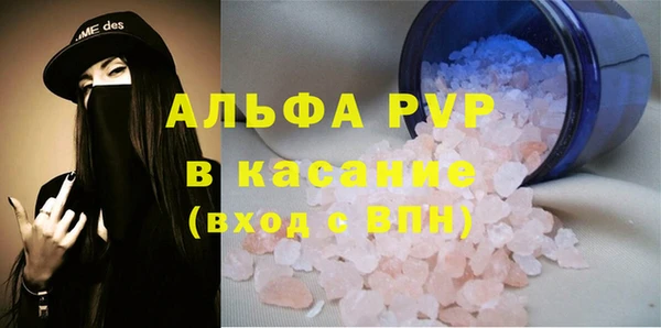 индика Алексин