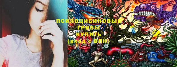 Альфа ПВП Алзамай