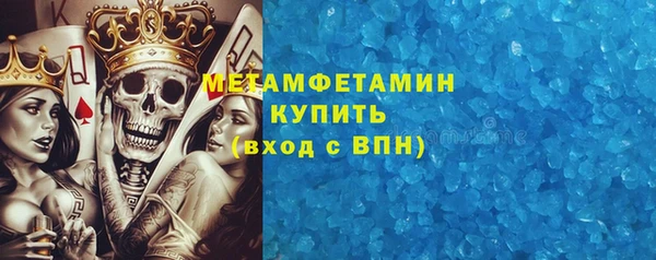 индика Алексин