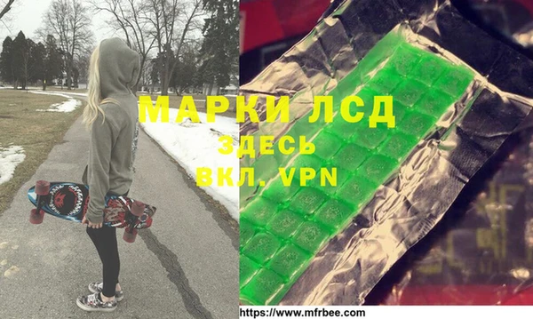индика Алексин