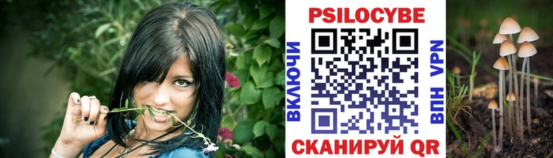 Галлюциногенные грибы Psilocybe  наркота  Крымск 